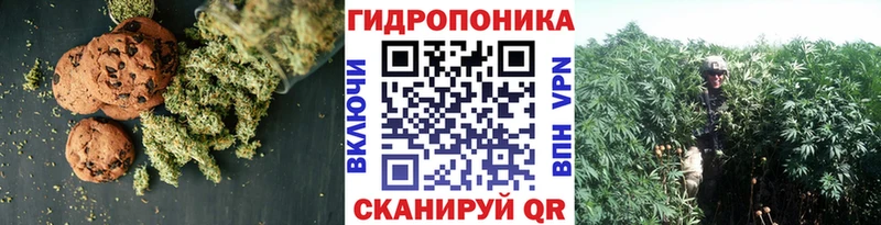 где купить наркоту  Весьегонск  Canna-Cookies конопля 