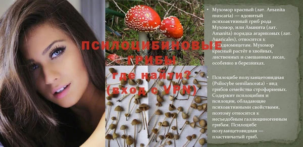 соль курить ск Верхний Тагил