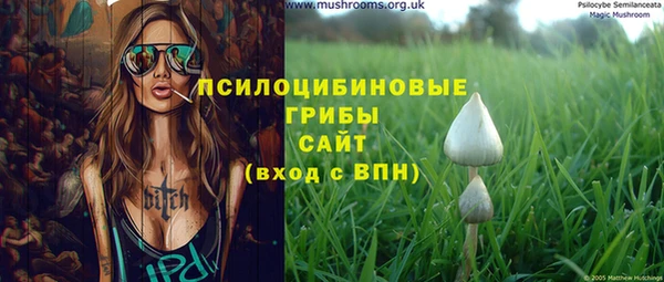 мяу мяу мука Сафоново