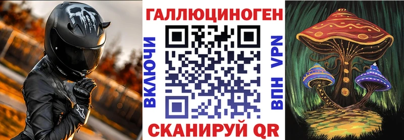 наркота  Весьегонск  Псилоцибиновые грибы MAGIC MUSHROOMS 